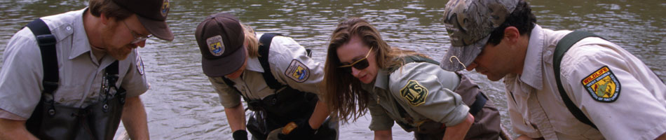 Seining in a Stream with Partners. Credit: Brian Jonkers / USFWS