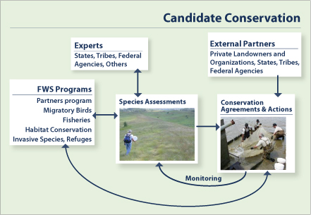 Candidate Conservation graphic