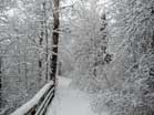 Winter on the Oberholtzer Trail. Photo: NPS/Matt Holly