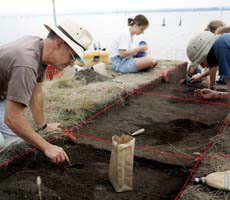 (photo) Excavators work in excavation units marked by red strings. (Army Corps of Engineers)