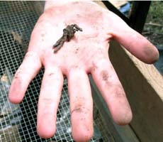 (photo) An archeologist's hand holds out a piece of metal. (Midwest Archeological Center)