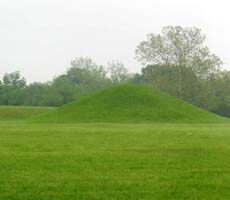 (photo) A mound juts up from a grassy landscape. (Barbara Little)