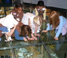 (photo) Kids look through a glass floor at artifacts below. (Discovery Museum)