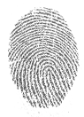 typical livescan finger 04 copy