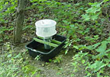 Mosquito Trap