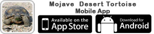 Download the Mojave Desert Tortoise App