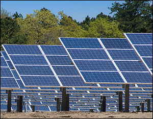 photo of LI solar farm