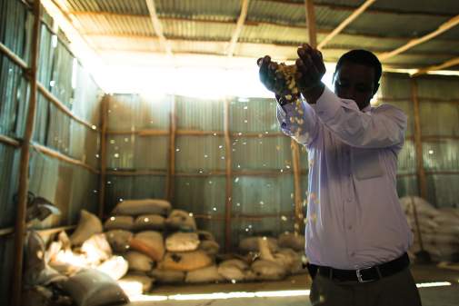 USAID partners with local banks to secure financing for underserved but credit-worthy borrowers, such as this Ethiopian farmer.