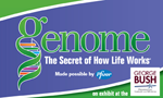 Genome