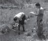 Volunteers monitoring a stream