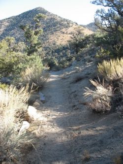 View from the Pacific Crest National Scenic Trail