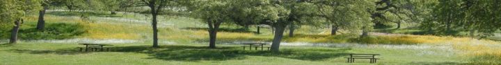 San Joaquin River Gorge Picnic Area