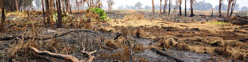 July 14th, 2004. Fire engulfs the desert grass.