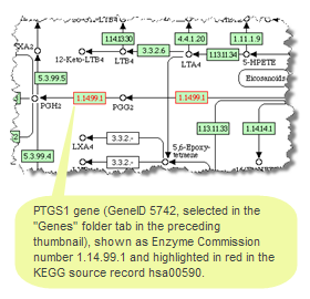 Thumbnail image illustrating the highlight function.  In this example, the PTGS1 gene, a component of the arachidonic acid metabolism pathway, is selected in the Genes folder tab of NCBI BioSystems record bsid82991 and then shown with a red outline in the full size image of that pathway on the web server of the source database, KEGG. Click on the image to read more about highlighting selected biosystem components.