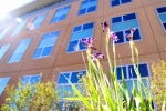 Daylighting is the use of windows and skylights to bring sunlight into your home. | Photo courtesy of Heather Lammers, NREL.