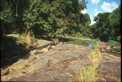 An Island in Time: A 15-Year Study of Land and Water in Puerto Rico