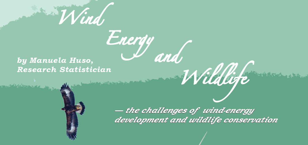 A screenshot of the public lecture flyer. It features a vulture flying across a field of green with the words "Wind Energy and Wildlife - the challenges of wind-energy development and wildlife conservation"