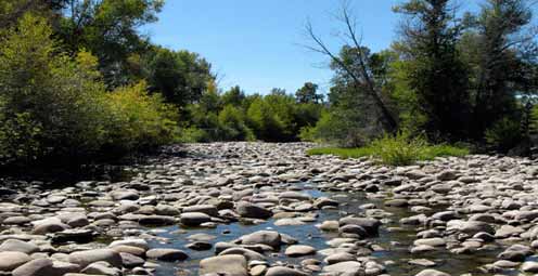 Lower Stream Flow Affects Life in Streams