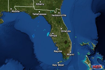 Live Weather Radar