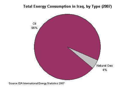 Total Energy Consumption in Iraq, by Type 2007