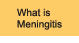 What is Meningitis