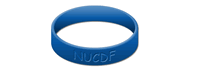 Urea Cycle Disorder Awareness Bracelet