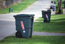 Recycling bins placed for curbside pickup