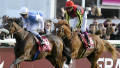 Solemia dashes Orfevre's hopes 