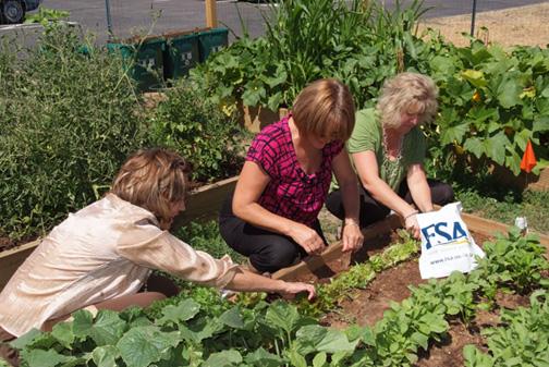 Three people working in the DFC peoples garden