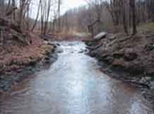 Photograph of Blake Fork before illegal activity