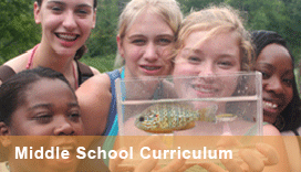 Middle School Curriculum