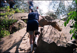 Trainee climbing a rope