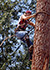 Logging workers