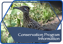 Conservation Program Information