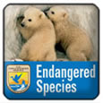 Endangered Species