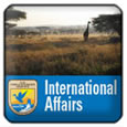 International Affairs