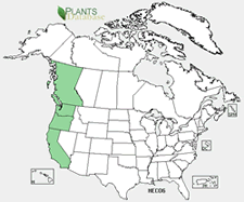 Map of North America showing green shaded areas where the species may be found.