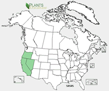 Map of North America showing green shaded areas where the species may be found.