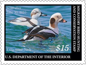 2009 Federal Duck Stamp by Josh Spies