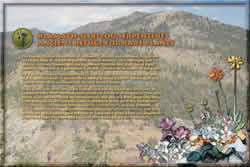 Thumbnail of Klamath-Siskiyou Serpentines interpretive panel.