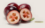 Cranberries cut open to show air pockets inside the fruit.