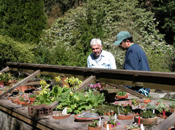 old man and a young man standing by a raised plant bed.