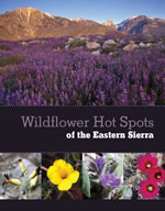 Wildflower Hot Spots of the Eastern Sierra cover.