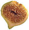 The flower inside a cross-section of a fig.