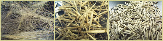 Three pictures: left is seed heads, center and right are seeds.