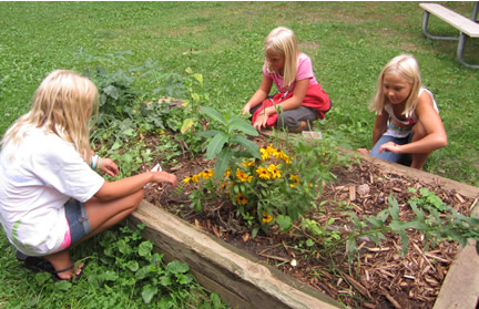 Three girls working in a flower bed.