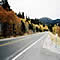 road in the mountains with golden aspens coloring the landscape