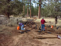 two persons planting native plants enclosed in planting tubes along an abandoned forest road.