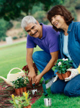 Las mujeres hispanas y el hombre arrodillado en trabajos de jardinería.