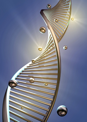 Double helix of DNA, the backbone of our hereditary information we inherit from our family.